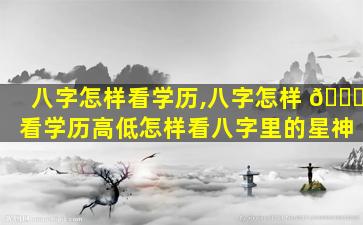 八字怎样看学历,八字怎样 🐕 看学历高低怎样看八字里的星神